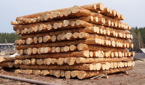 Советы специалистов, как предотвратить появление трещин в древесине сруба