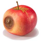 Микотоксины на яблоках