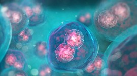 Микровибрационное культивирование эмбрионов