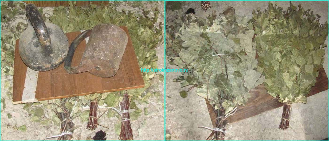 Дубовые веники (23 фото): польза и вред веников для бани, из канадского дуба и другого, время заготовки, как хранить и сушить