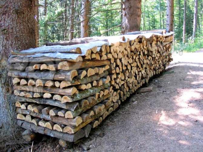 Как правильно топить русскую печь дровами