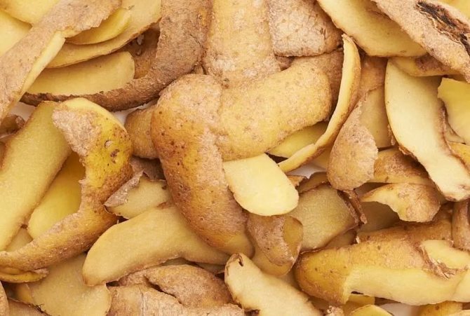 Картофельные очистки – проверенный народный способ удаления сажи